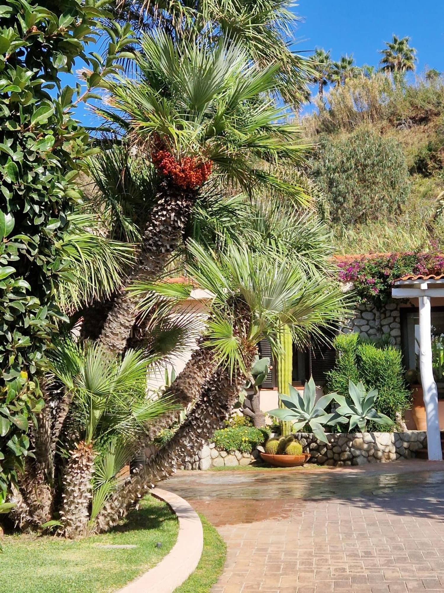 Hotel Villaggio Cala Di Volpe Capo Vaticano Exterior photo